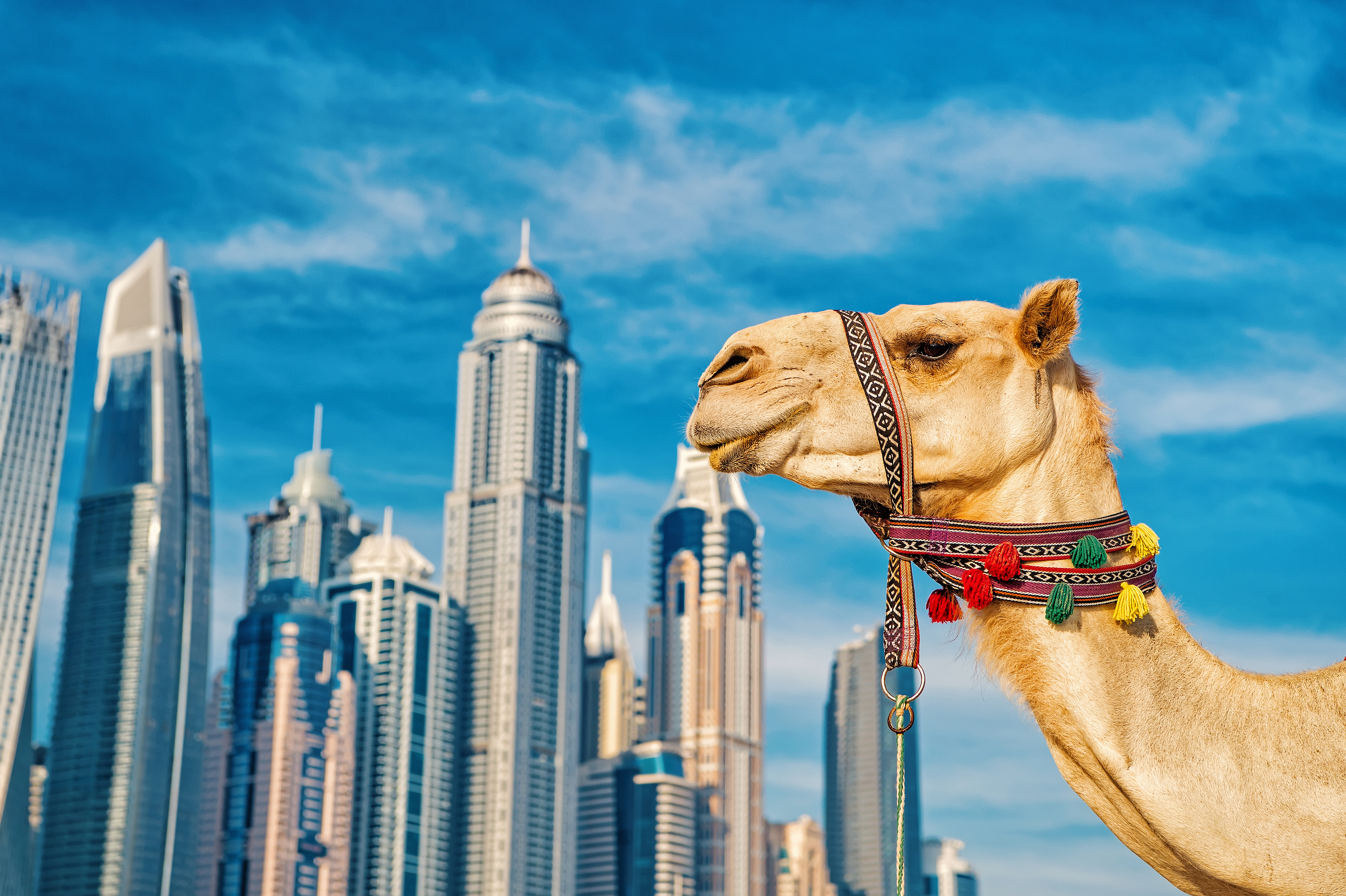 Voyage aux Emirats : entre tradition et modernité