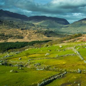 Combiné Kerry Connemara