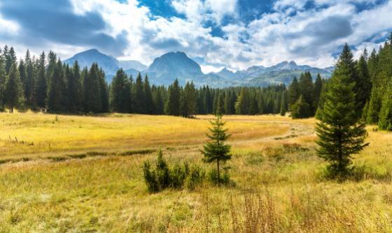 Le Tour du Montenegro