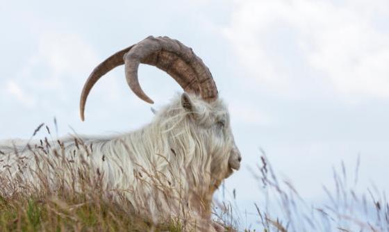 La Traversée du Pays de Galles