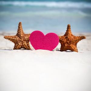 Voyage de noces Quebec & Yucatan