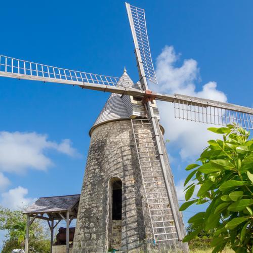 Guadeloupe : Le papillon des antilles