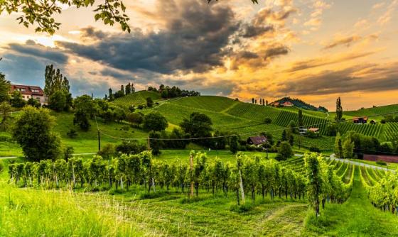 Burgenland &amp; Styrie : La Dolce vita en Autriche