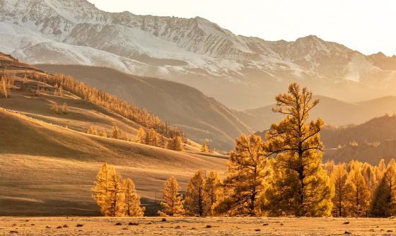 Russie : De l'Altai au Lac Baikal