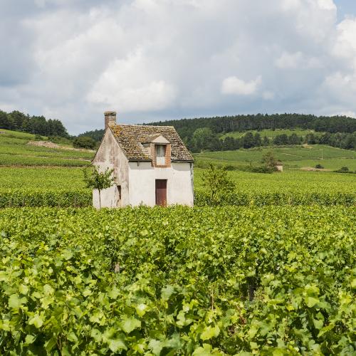 Week end en Bourgogne