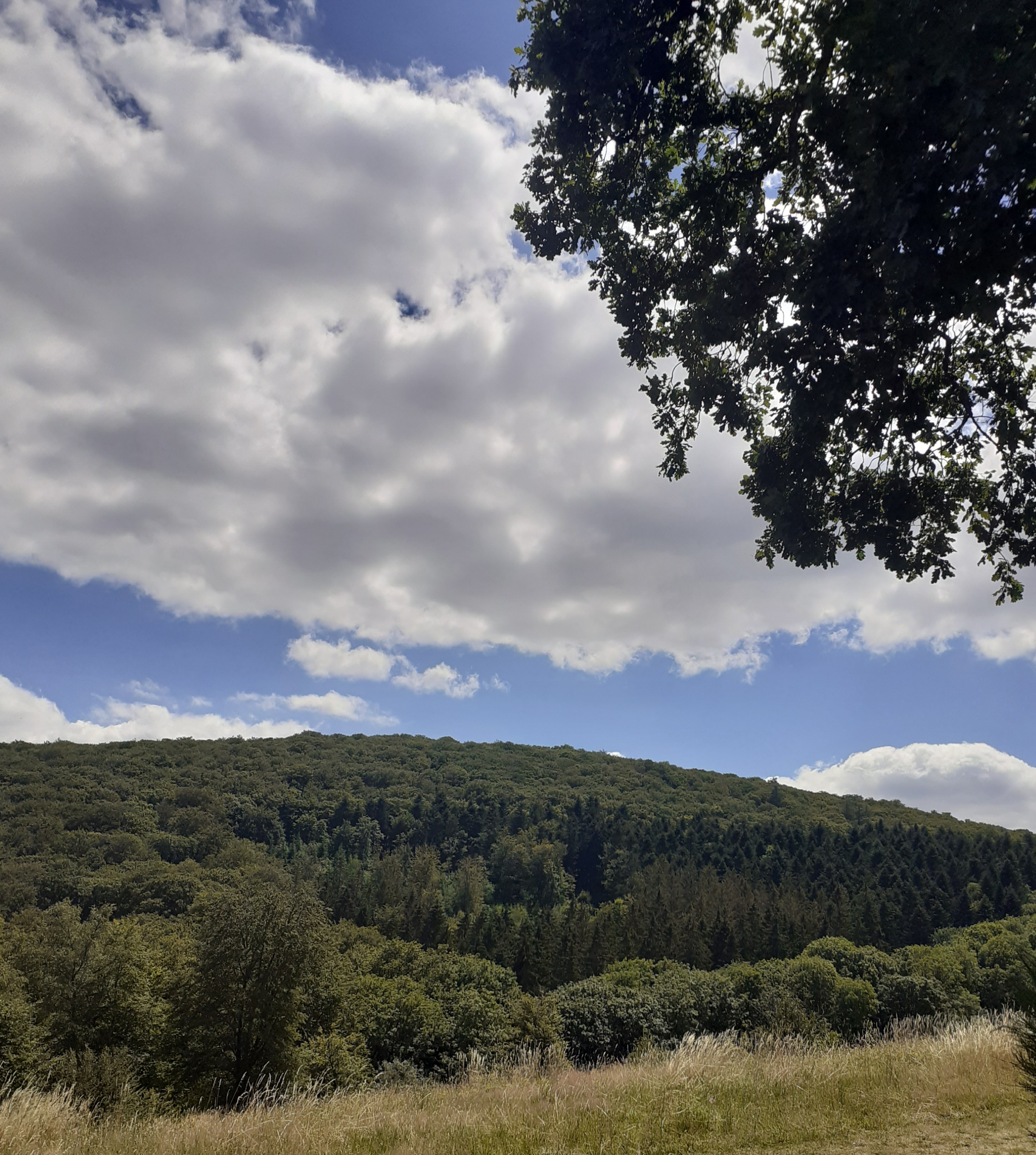 Mise au vert dans le Morvan