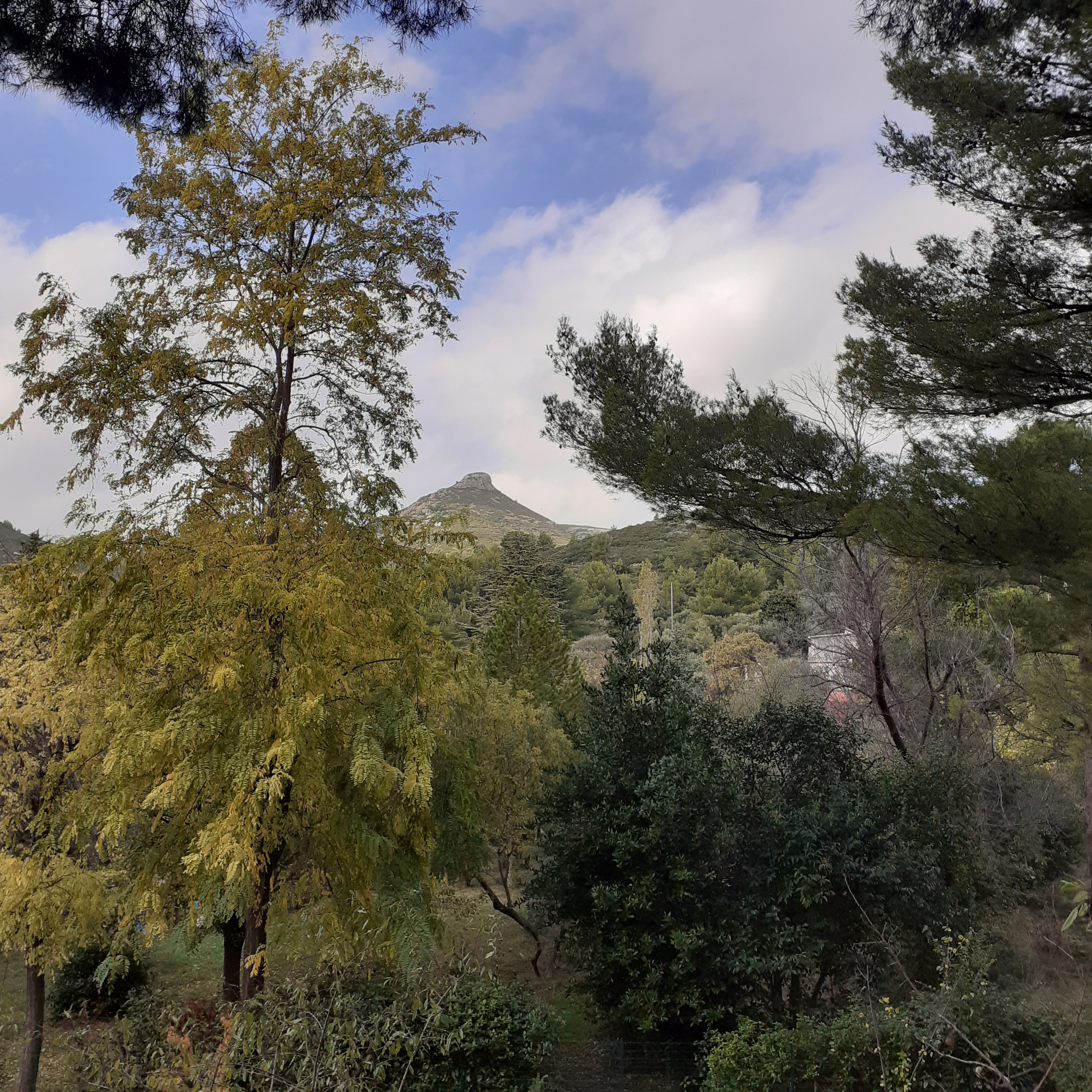 Sur les traces de Marcel Pagnol