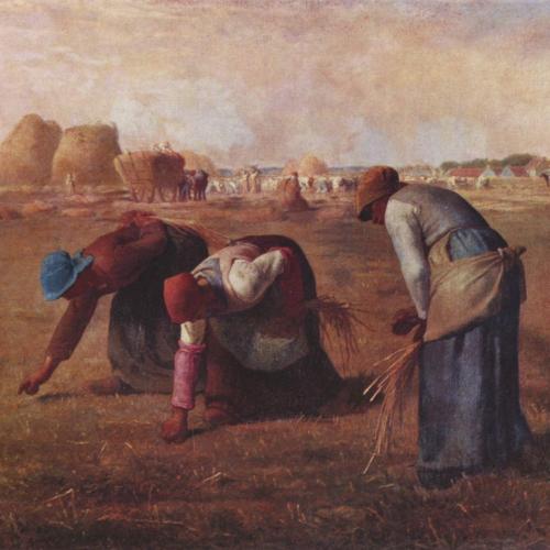 Un petit tour à la campagne