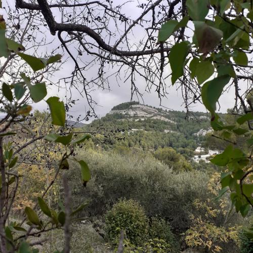 Sur les traces de Marcel Pagnol